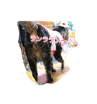 のりとらじるしvol.3（個別スタンプ：19）