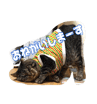 のりとらじるしvol.3（個別スタンプ：34）
