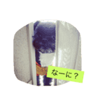 ミルンプ（個別スタンプ：1）