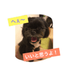 ミルンプ（個別スタンプ：2）