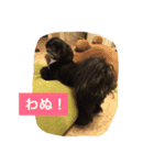 ミルンプ（個別スタンプ：4）