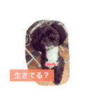 ミルンプ（個別スタンプ：6）