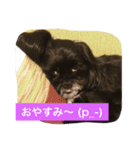 ミルンプ（個別スタンプ：7）