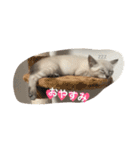 もなか ぱーと2（個別スタンプ：5）