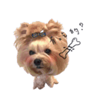 Dog with baby（個別スタンプ：1）