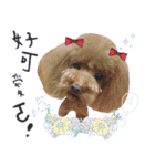 Dog with baby（個別スタンプ：16）