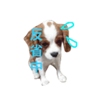SAMらいふ（個別スタンプ：5）