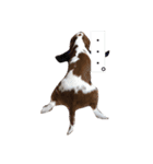 SAMらいふ（個別スタンプ：6）