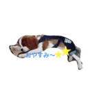 SAMらいふ（個別スタンプ：7）