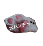 SAMらいふ（個別スタンプ：12）