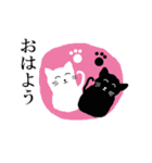 白猫と黒猫たち（個別スタンプ：11）