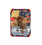 わんちゃんファミリー3（個別スタンプ：6）