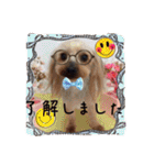 わんちゃんファミリー3（個別スタンプ：15）