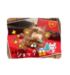 わんちゃんファミリー3（個別スタンプ：22）
