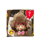わんちゃんファミリー3（個別スタンプ：25）