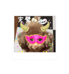 わんちゃんファミリー3（個別スタンプ：26）