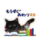 上司には使えない日常会話。（個別スタンプ：22）