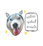 Nung Lucky Lovely Fake Dog.（個別スタンプ：2）