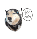 Nung Lucky Lovely Fake Dog.（個別スタンプ：5）