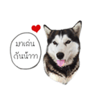 Nung Lucky Lovely Fake Dog.（個別スタンプ：6）
