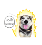 Nung Lucky Lovely Fake Dog.（個別スタンプ：10）