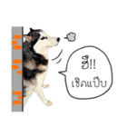 Nung Lucky Lovely Fake Dog.（個別スタンプ：16）