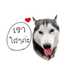 Nung Lucky Lovely Fake Dog.（個別スタンプ：17）