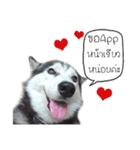 Nung Lucky Lovely Fake Dog.（個別スタンプ：18）