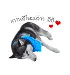 Nung Lucky Lovely Fake Dog.（個別スタンプ：19）