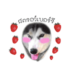 Nung Lucky Lovely Fake Dog.（個別スタンプ：21）