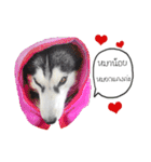 Nung Lucky Lovely Fake Dog.（個別スタンプ：26）