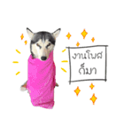 Nung Lucky Lovely Fake Dog.（個別スタンプ：27）