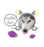 Nung Lucky Lovely Fake Dog.（個別スタンプ：29）