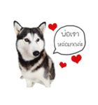 Nung Lucky Lovely Fake Dog.（個別スタンプ：32）