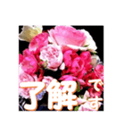薔薇の花♡アソート12_挨拶メッセージ（個別スタンプ：1）