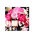 薔薇の花♡アソート12_挨拶メッセージ（個別スタンプ：2）