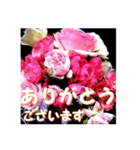 薔薇の花♡アソート12_挨拶メッセージ（個別スタンプ：3）