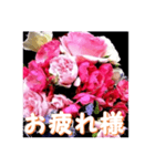 薔薇の花♡アソート12_挨拶メッセージ（個別スタンプ：4）