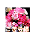 薔薇の花♡アソート12_挨拶メッセージ（個別スタンプ：5）