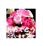 薔薇の花♡アソート12_挨拶メッセージ（個別スタンプ：8）