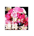 薔薇の花♡アソート12_挨拶メッセージ（個別スタンプ：10）