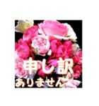 薔薇の花♡アソート12_挨拶メッセージ（個別スタンプ：14）