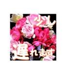 薔薇の花♡アソート12_挨拶メッセージ（個別スタンプ：16）
