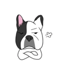 Ringo the Frenchie（個別スタンプ：2）