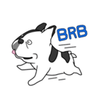 Ringo the Frenchie（個別スタンプ：4）