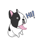 Ringo the Frenchie（個別スタンプ：7）