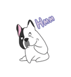 Ringo the Frenchie（個別スタンプ：8）