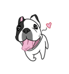Ringo the Frenchie（個別スタンプ：9）