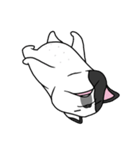 Ringo the Frenchie（個別スタンプ：13）