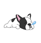 Ringo the Frenchie（個別スタンプ：14）
